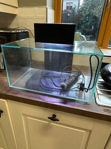 Fluval Edge 23 fish tank