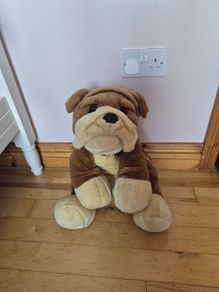 Large Teddy