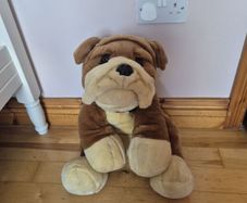 Large Teddy