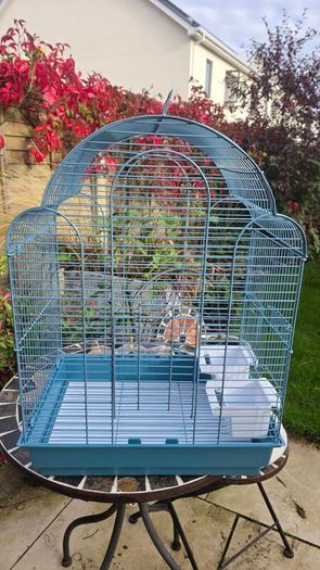 New bird cage