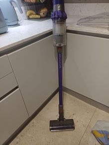 Dyson V10 Animal