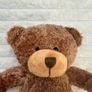 Regal Toys Edward 1 Classic Teddy Bear approx. 22 cm. Soft Plush Used Please see photos Image 3