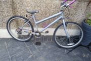 bike needs fixing