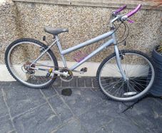 bike needs fixing