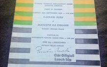 1985 &amp; 1986 Cork Hurling County Finals match programmes (postage included)