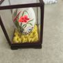 vintage chinese hand painted egg box antique Image 5