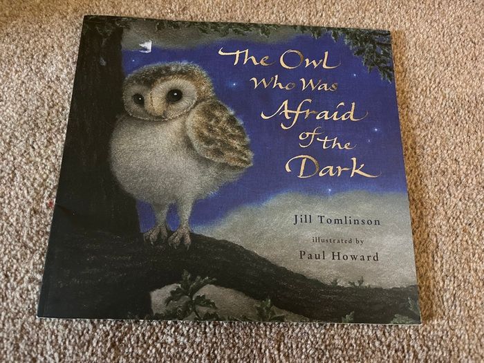 The owl who was afraid of dark
