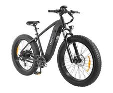 DYU King 750 Mountain E-Bike