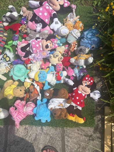 Collection of soft toys