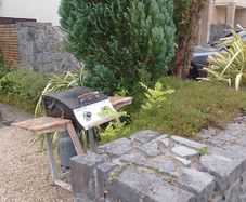 barbeque