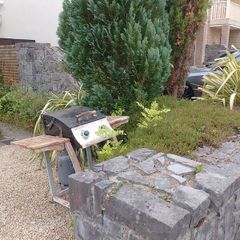 barbeque