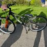 bike Image 4