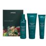 AVEDA RRP 42e Damage Remedy and Botanical Repair 100ml and Color Control leave-in treatment rich 25ml Image 9
