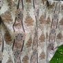 Upholstery Fabric Image 2