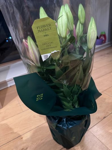 Brand New M&S Oriental Lily Bouquet (Starlight Express) - Fresh & Unopened