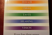 Jan de Vries / The Five Senses / 1997