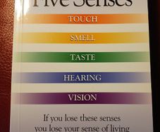 Jan de Vries / The Five Senses / 1997