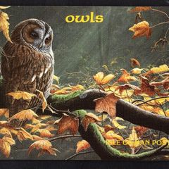 1997 Isle of Man Owls Commemorative Stamps Presentation Pack