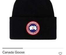 canada goose