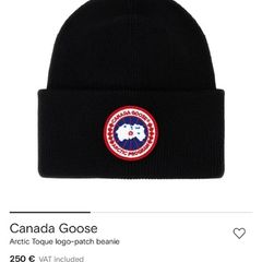 canada goose