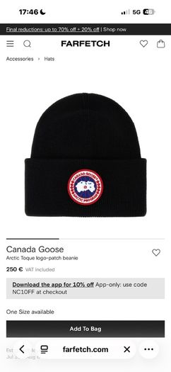 canada goose