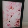 3 pictures with frame 53x72 cm Image 5