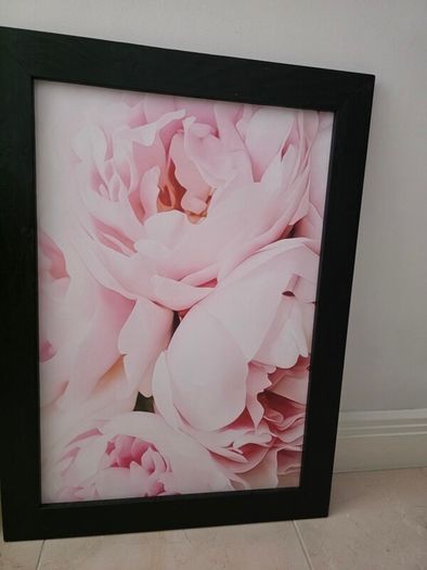 3 pictures with frame 53x72 cm