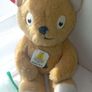 pudsey bear children in need bear Image 4