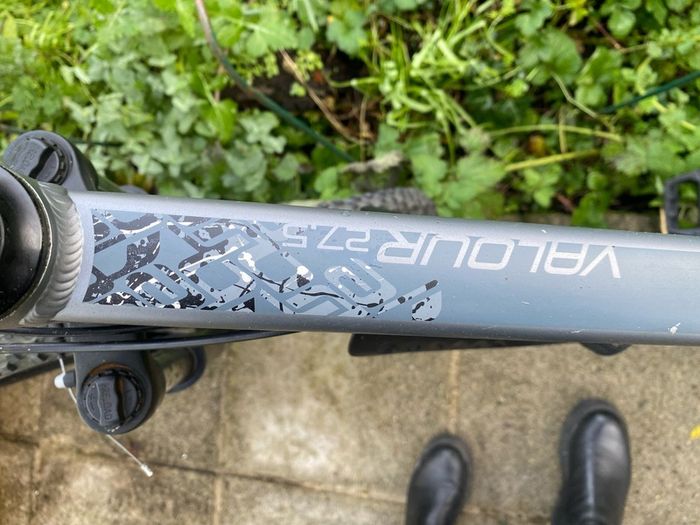 Teenage Boys carrera bike