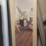 New Flooring Image 3