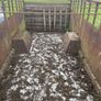 Livestock trailer Image 3