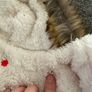 Small dog jacket Image 3