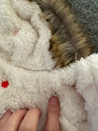 Small dog jacket