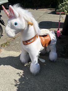 Ride on unicorn