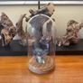Antique Cloche Glass Dome Image 4