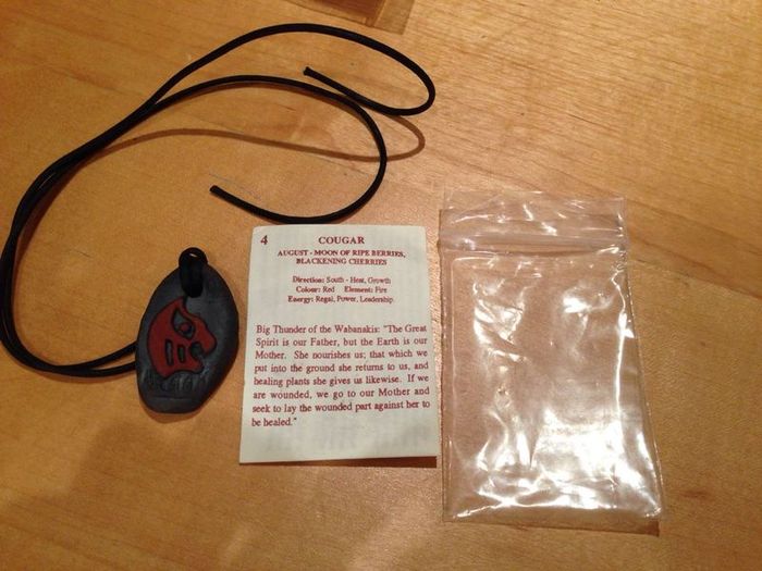 Coyote Totem Energy Stones Necklace.