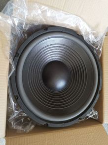 12 inch woofers