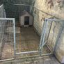 Dog run Image 3