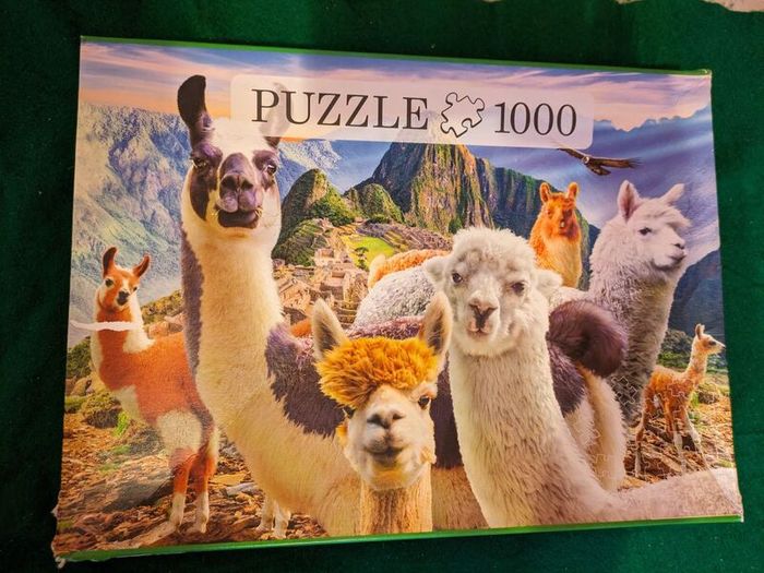 1000 pieces jigsaw puzzle