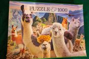1000 pieces jigsaw puzzle