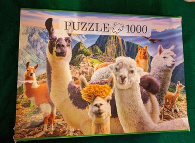 1000 pieces jigsaw puzzle