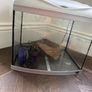 fish aquarium Image 2