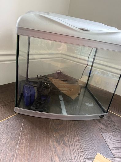 fish aquarium