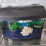 Fish tank Image 3
