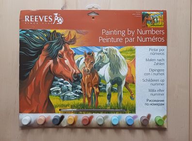 Reeves Paint by Numbers Wild Horses Kit 30x40cm NEW