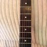Line 6 James Tyler Jtv-59 (emg / Schaller Upgrades) Image 10
