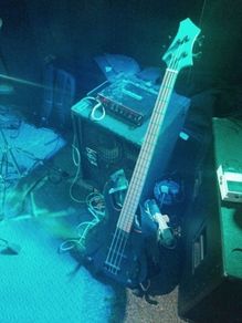 bass head tc electronic thrust 500 head