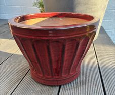 Plant Pot