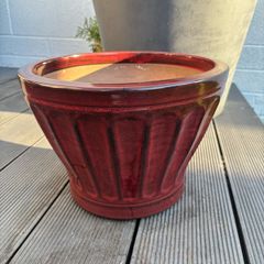 Plant Pot