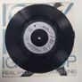 Iggy Pop Real Wild Child Wild One Image 3